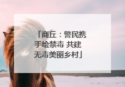 商丘：警民携手绘禁毒 共建无毒美丽乡村