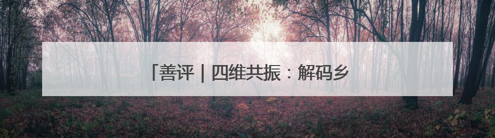 善评｜四维共振：解码乡村振兴的“齐鲁算法”