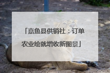 嘉鱼县供销社：订单农业绘就增收新图景