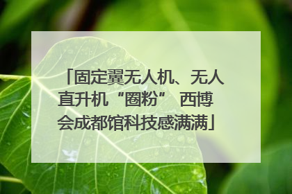 固定翼无人机、无人直升机“圈粉” 西博会成都馆科技感满满
