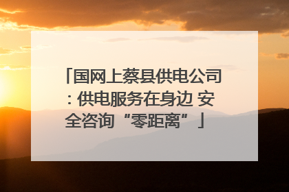 国网上蔡县供电公司：供电服务在身边 安全咨询“零距离”