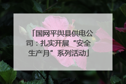 国网平舆县供电公司：扎实开展“安全生产月”系列活动