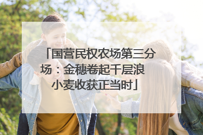 国营民权农场第三分场：金穗卷起千层浪 小麦收获正当时