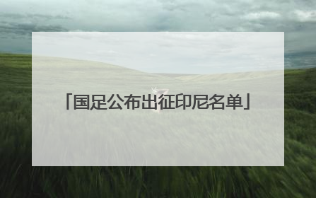 国足公布出征印尼名单
