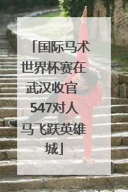 国际马术世界杯赛在武汉收官 547对人马飞跃英雄城