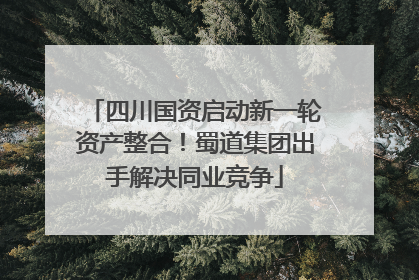 四川国资启动新一轮资产整合！蜀道集团出手解决同业竞争