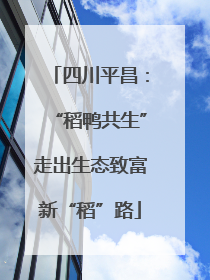 四川平昌：“稻鸭共生”走出生态致富新“稻”路