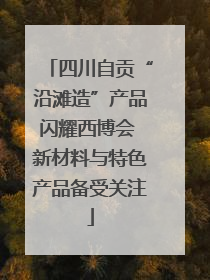 四川自贡“沿滩造”产品闪耀西博会 新材料与特色产品备受关注