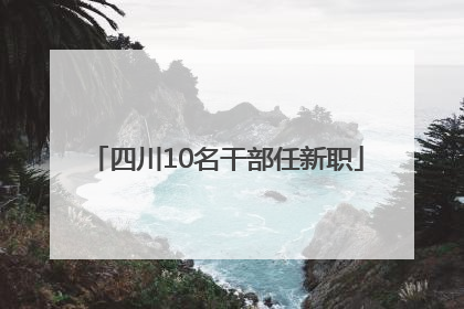 四川10名干部任新职