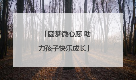 圆梦微心愿 助力孩子快乐成长