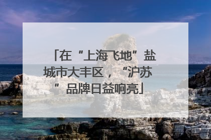 在“上海飞地”盐城市大丰区，“沪苏”品牌日益响亮