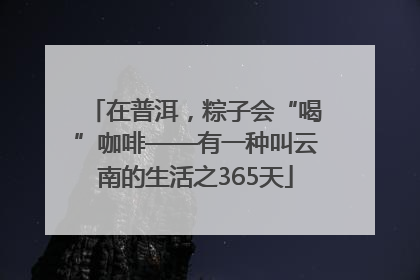 在普洱，粽子会“喝”咖啡——有一种叫云南的生活之365天