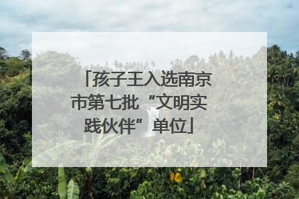 孩子王入选南京市第七批“文明实践伙伴”单位