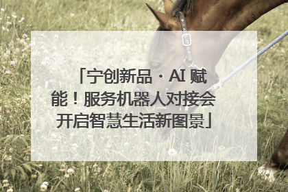 宁创新品・AI 赋能！服务机器人对接会开启智慧生活新图景