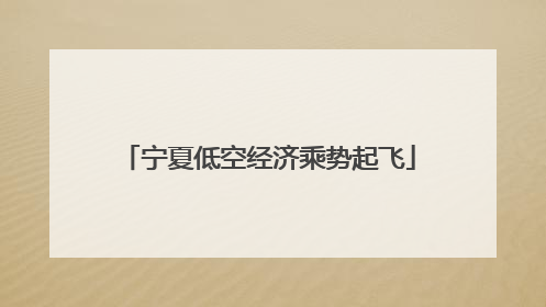 宁夏低空经济乘势起飞