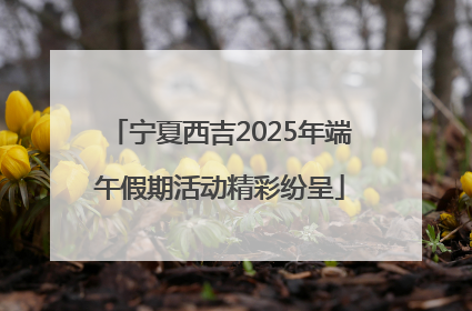宁夏西吉2025年端午假期活动精彩纷呈