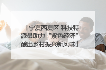 宁夏西夏区 科技特派员助力“紫色经济”酿出乡村振兴新风味