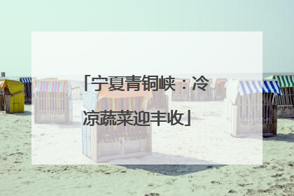 宁夏青铜峡：冷凉蔬菜迎丰收