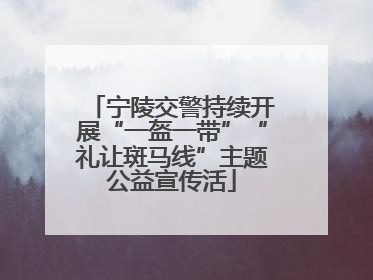 宁陵交警持续开展“一盔一带”“礼让斑马线”主题公益宣传活