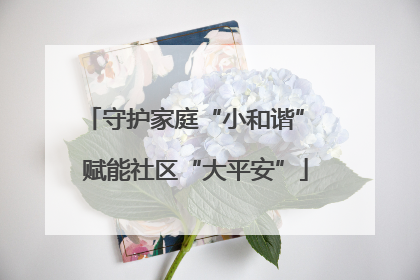 守护家庭“小和谐” 赋能社区“大平安”