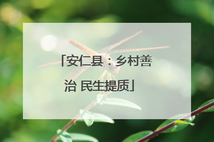 安仁县：乡村善治 民生提质