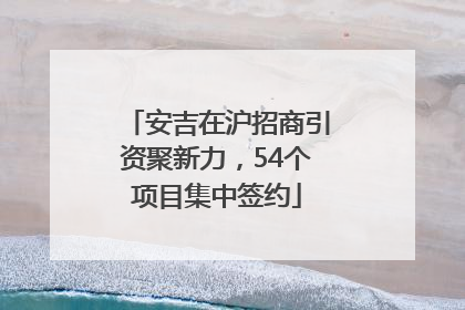 安吉在沪招商引资聚新力，54个项目集中签约