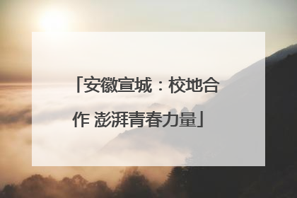 安徽宣城：校地合作 澎湃青春力量