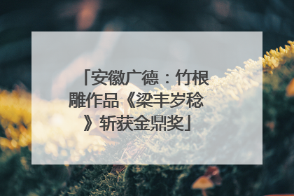 安徽广德：竹根雕作品《梁丰岁稔》斩获金鼎奖