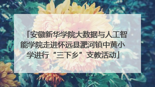 安徽新华学院大数据与人工智能学院走进怀远县淝河镇中黄小学进行“三下乡”支教活动