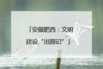 安徽肥西：文明建设“出圈记”