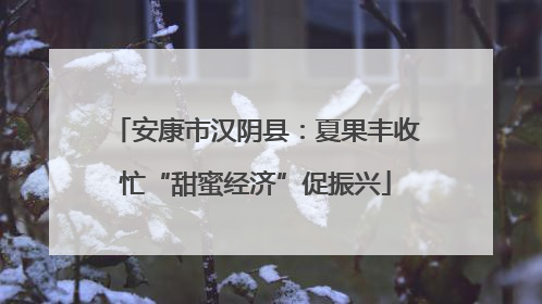 安康市汉阴县：夏果丰收忙“甜蜜经济”促振兴