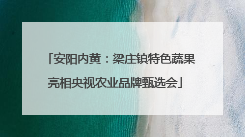 安阳内黄：梁庄镇特色蔬果亮相央视农业品牌甄选会