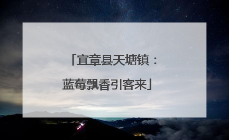 宜章县天塘镇：蓝莓飘香引客来