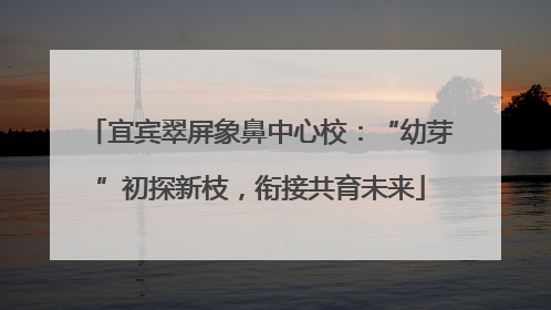 宜宾翠屏象鼻中心校：“幼芽”初探新枝，衔接共育未来