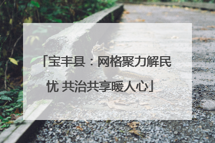 宝丰县：网格聚力解民忧 共治共享暖人心