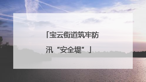 宝云街道筑牢防汛“安全堤”