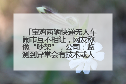 宝鸡两辆快递无人车闹市互不相让，网友称像“吵架”，公司：监测到异常会有技术或人为干预处置