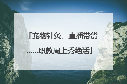 宠物针灸、直播带货……职教周上秀绝活