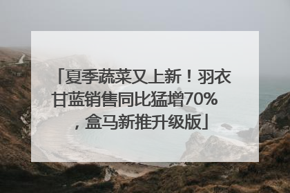 夏季蔬菜又上新！羽衣甘蓝销售同比猛增70%，盒马新推升级版