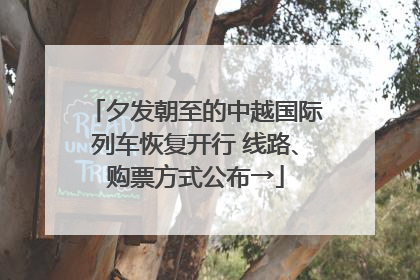 夕发朝至的中越国际列车恢复开行 线路、购票方式公布→