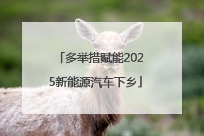 多举措赋能2025新能源汽车下乡