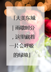 大美东城｜雨歇时分，这里藏着一片会呼吸的绿境