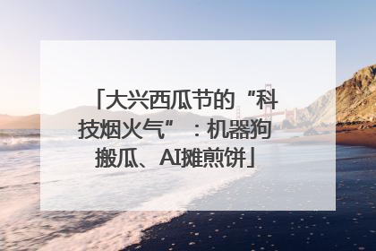 大兴西瓜节的“科技烟火气”：机器狗搬瓜、AI摊煎饼