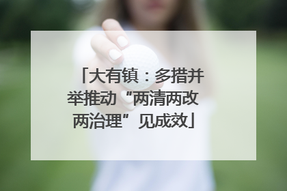 大有镇：多措并举推动“两清两改两治理”见成效