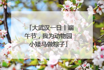 大武汉一日丨端午节，我为动物园小矮马做粽子