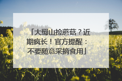 大蜀山捡蘑菇？近期疯长！官方提醒：不要随意采摘食用