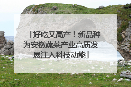好吃又高产！新品种为安徽蔬菜产业高质发展注入科技动能