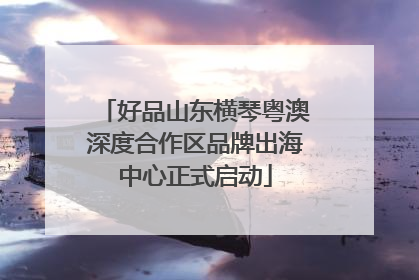 好品山东横琴粤澳深度合作区品牌出海中心正式启动
