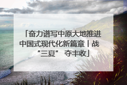 奋力谱写中原大地推进中国式现代化新篇章丨战“三夏” 夺丰收