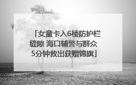 女童卡入6楼防护栏缝隙 海口辅警与群众5分钟救出获赠锦旗